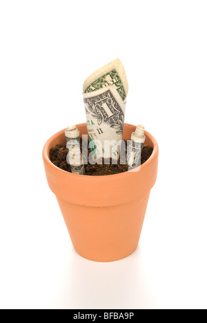 Un pot de fleurs en argile avec une trésorerie en fleurs fleur. Bonne image pour l'investissement, la retraite, l'épargne des inférences. Banque D'Images