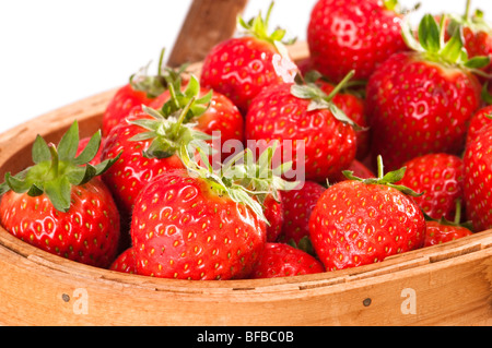 Close up de fraises fraîchement cueillies dans des trug Banque D'Images