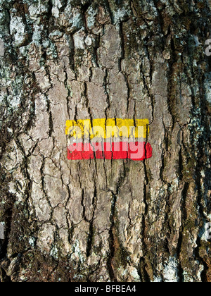 Sentier Public droit de passage les marqueurs sur tronc d'arbre de chêne - France. Banque D'Images