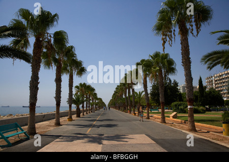 Promenade du front de mer bordée de palmiers dans deux villes park sur terrains lemesos Limassol république de Chypre Europe Banque D'Images