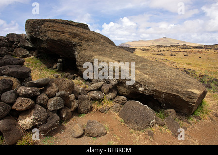 Moai tombé dans l'ahu Te Pito Kura, île de Pâques (Rapa nui) ou de Pascua, Chili, Site du patrimoine mondial de l'UNESCO Banque D'Images