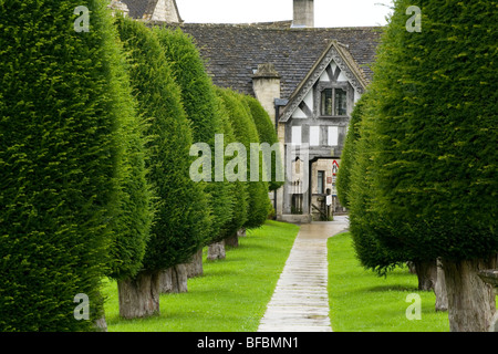 Yew arbres menant au Lychgate dans cimetière de l'église St Mary, Painswick Banque D'Images