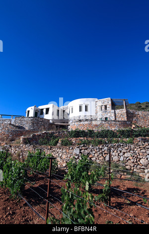 Grèce cyclades sikinos by Manalis winery Banque D'Images