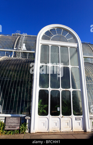 United Kingdom West London Kew gardens la Palm House Banque D'Images