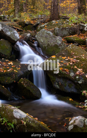 Un ruisseau d'automne doux coule sur des roches moussues dans une forêt tranquille, avec des feuilles d'automne colorées dispersées à travers les pierres et de l'eau douce capturée dans le temps. Banque D'Images