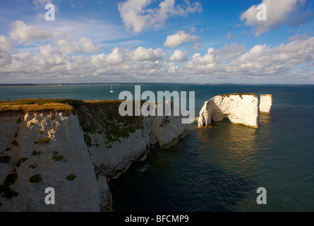 Old Harry Rocks, l'avant-pays ou Handfast Point, Studland, à l'île de Purbeck, Dorset, Angleterre, Royaume-Uni, Europe Banque D'Images