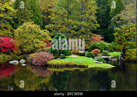 Jardins en automne asticou, southwest harbor, Mount Desert Island, Maine, USA Banque D'Images