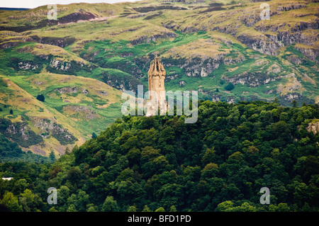 Monument de Wallis entouré d'arbres, au sommet de l'abbaye de Craig. Stirling Ecosse. Banque D'Images