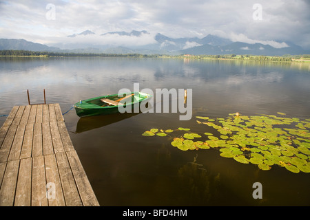 Vue sur les Alpes d'Hopfensee Banque D'Images