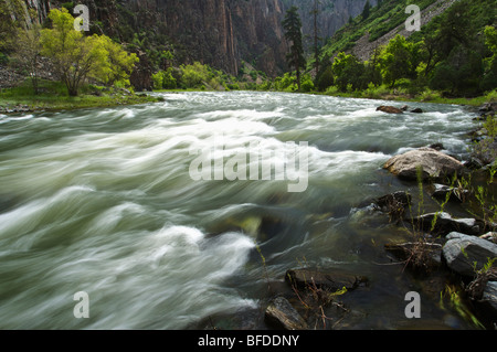 La Gunnison River dans la Gorge de Black Canyon, Colorado. (Motion Blur) Banque D'Images