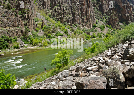 Un pêcheur à la pêche sur la rivière Gunnison. Banque D'Images