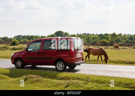 Une voiture passe à cheval New Forest, Hampshire, Angleterre Banque D'Images