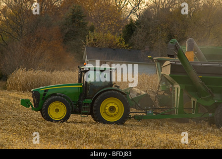 La récolte La récolte de maïs dans le centre de l'Indiana, deux agriculteurs sont dans la cabine du tracteur comme le sélecteur de maïs se vide c'est la charge. Banque D'Images