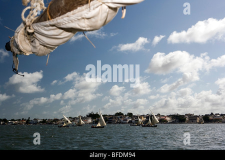 Course de voile en dhow - Île de Lamu, Kenya Banque D'Images