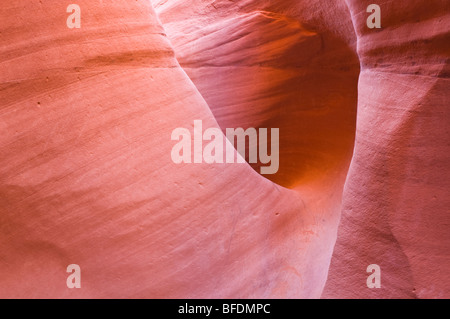 Formations de grès en Peek-a-boo Gulch, Grand Staircase-Escalante National Monument (Utah) Banque D'Images