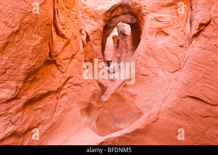 Formations de grès en Peek-a-boo Gulch, Grand Staircase-Escalante National Monument (Utah) Banque D'Images