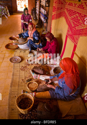 Maroc - femmes berbères de production d'huile d'argan atelier coopératif dans l'Atlas, à l'est de Marrakech. Banque D'Images