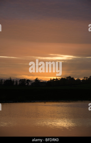 La rivière Tweed à Kelso Ecosse vue du coucher de soleil en Octobre Banque D'Images