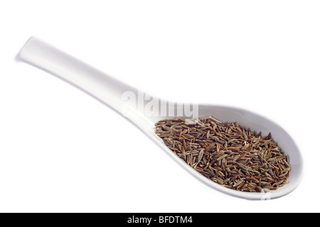 Les graines de cumin sur une cuillère. Cela fait partie d'une série d'épices tourné dans des conditions identiques Banque D'Images