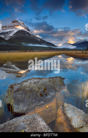 Les étangs de rempart avec Mont Athabasca et le Mont Amery, Banff National Park, Alberta, Canada Banque D'Images