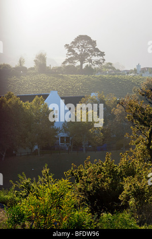 Un ciel voilé, la fin de l'après-midi dans la région viticole de Constantia, près de Cape Town, Afrique du Sud Banque D'Images