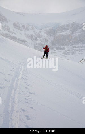 Un uptracking skieur sur la glace Wapta, Banff National Park, Alberta, Canada Banque D'Images