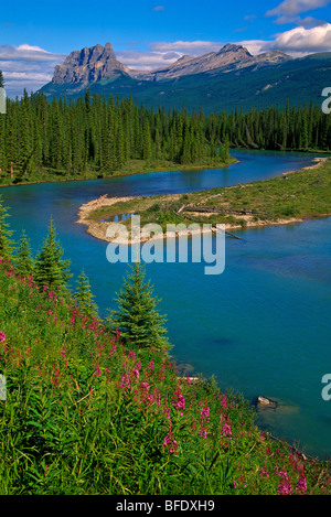 Castle Mountain et la rivière Bow, Banff National Park, Alberta, Canada Banque D'Images