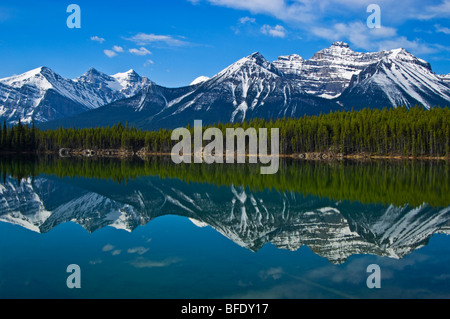 La réflexion dans la Montagne Lac Herbert, Banff National Park, Alberta, Canada Banque D'Images