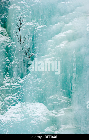 Cascade de Glace, parc provincial du mont Robson, British Columbia, Canada Banque D'Images