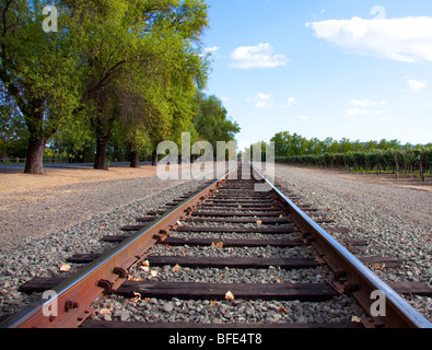 Tout droit de rails de chemin de fer figurant à converger dans la distance, prise dans la Napa Valley de Californie Banque D'Images