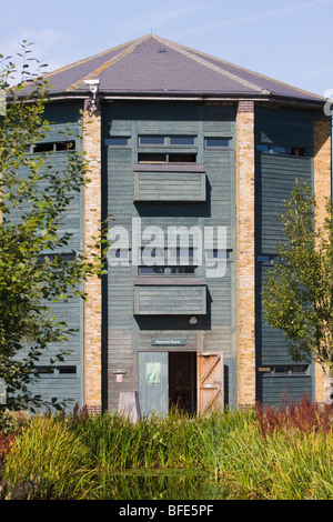 Tour de paon, masquer, London Wetland Centre Banque D'Images