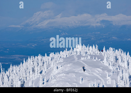 Les snowboarders, le mont Washington, Comox Valley, l'île de Vancouver, Colombie-Britannique, Canada Banque D'Images