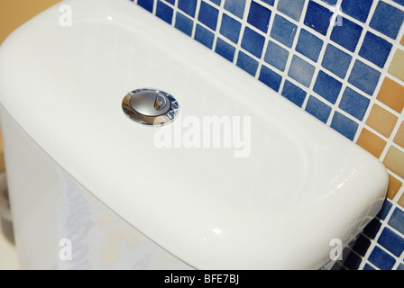 Toilettes à double chasse Banque D'Images