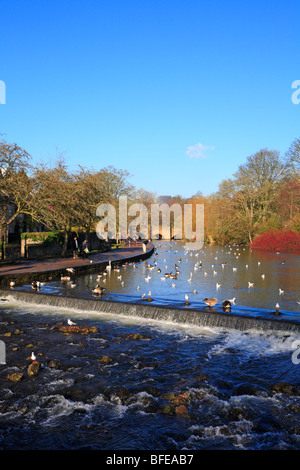 Rivière Wye, Bakewell, Derbyshire Peak District National Park, Angleterre, Royaume-Uni. Banque D'Images