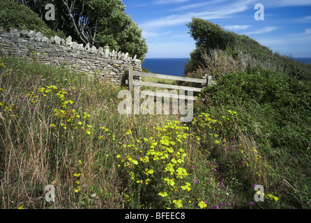 Voir d & du south west coast path dans le Dorset. tête de durlston Country Park près de swanage Banque D'Images