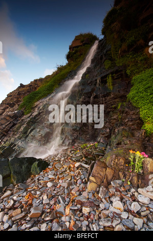 Descendant en cascade Bucks Mills sur la plage sur la côte nord du Devon UK Banque D'Images