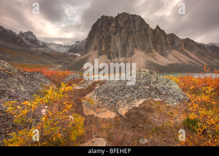 Lac d'éboulis, le parc territorial Tombstone, Yukon, Canada Banque D'Images