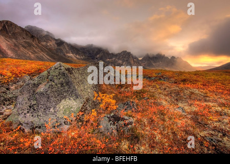 Couleurs d'automne dans la vallée de Tombstone et le coucher du soleil avec la montagne de Tombstone, Yukon, Canada Banque D'Images