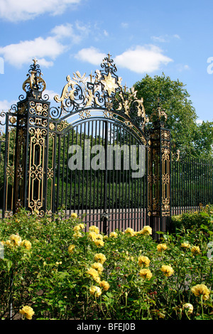 Queen Mary's Garden dans le cercle intérieur de Regent's Park, Londres Banque D'Images