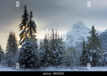 Pilot Mountain à Moose Meadows en hiver, Banff National Park, Alberta, Canada Banque D'Images