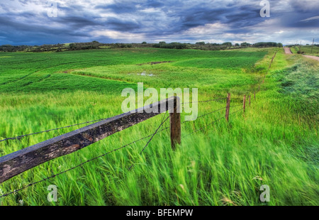 Clôture et champ avec des routes de campagne et les nuages de tempête près de Cochrane, Alberta, Canada Banque D'Images