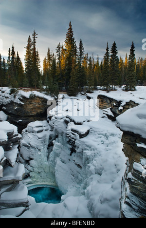 Les chutes Athabasca en hiver, Jasper National Park, Alberta, Canada Banque D'Images