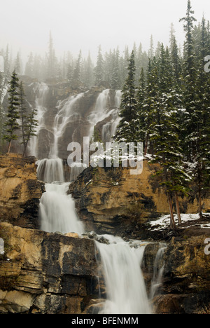 Chutes Tangle, Jasper National Park, Alberta, Canada Banque D'Images