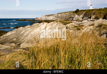Phare, réserve écologique de Cape St. Mary's, en Nouvelle-Écosse, Canada Banque D'Images