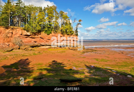 Burntcoat Head Park, de Cobequid Bay, Nova Scotia, Canada Banque D'Images