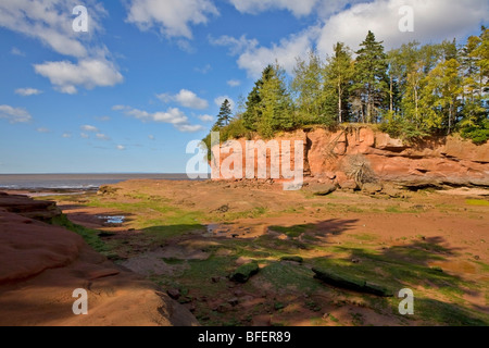 Burntcoat Head Park, de Cobequid Bay, Nova Scotia, Canada Banque D'Images