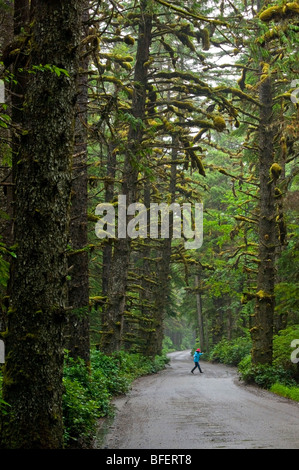 Jeune fille qui marche à travers la route à travers les forêts tropicales du Parc Provincial Naikoon Tow Hill Queen Charlotte Islands British Columbia peut Banque D'Images