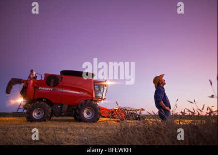 Un agriculteur avec sa moissonneuse-batteuse, en arrière-plan prend une pause au crépuscule pendant la récolte de blé de printemps près de Dugald (Manitoba Canada Banque D'Images