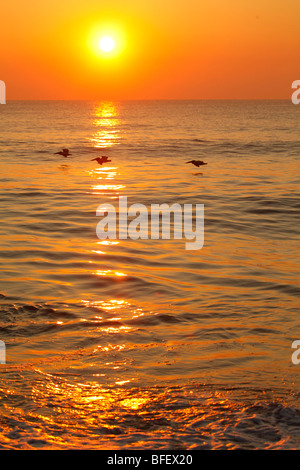 Lever du soleil à Carolina Beach, Cape Fear / Wilmington, Caroline du Nord. Banque D'Images