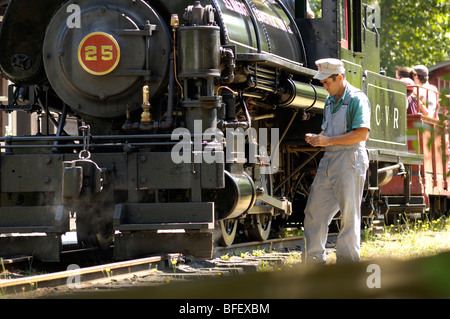 Train à vapeur BC Forest Discovery Centre, Duncan, Cowichan Valley, l'île de Vancouver, Colombie-Britannique, Canada. Banque D'Images